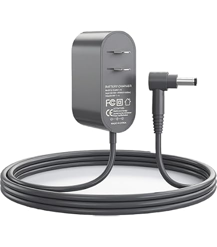 Amazon.com - 30.45V Charger for Dyson V10 V11 V12 V15 SV12 SV20