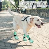 Dog Socks Paws Stop Licking Anti-Slip Grips 3 Pairs Green M view 6