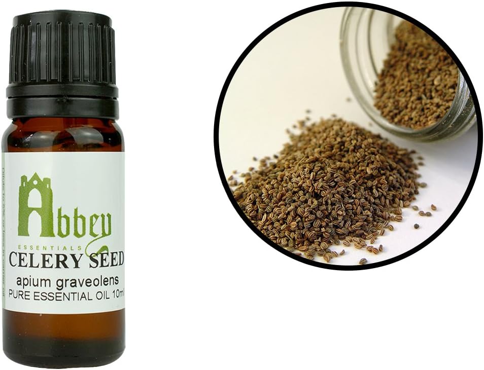 Celery Seed Essential Oil Non-Toxic Non-Irritant Possible Sensitization Anti-Oxidant Detoxifying Increases Milk Flow While Breastfeeding 10 ml