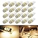 Boodled 20 x T10 RV Trailer 921 192 1206 42-SMD 12V Car Backup Reverse LED Bulbs 6000k Super White / 3500K Warm white 3020 (20xT10 1206 42smd White Board) (20Pcs Warm White -White Board)