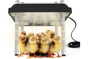 CHIKENCOOP Chicken Brooder Heater Plate 12" x 12" Heat Plate for Chicks Heat Plate with Adjustable Height Chick Warmer Brooder Plate 22 Watts Up to 20 Chicks (Black)