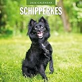 Red Robin 2026 Schipperkes Monthly Wall Calendar | 12" x 24" Open | Premium Thick & Sturdy Paper | Hangable 12 Month Calendar | Lined Notes & To Do Area | Vivid Images | Plastic Free