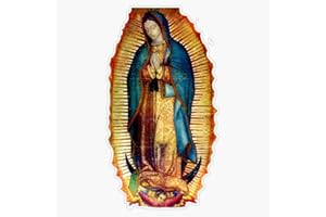 VISION GRAPHICS Magnet Our Lady Of Guadalupe Tilma Replica Magnet Vinyl Decal Sticker 5"