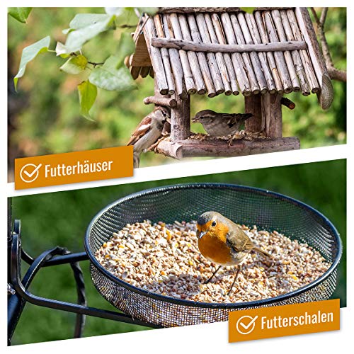 wildtier herz I Vogeltraum Schalenlos - Premium Vogelfutter, Wildvogelfutter Schalenfrei, Ganzjahresfutter mit Sonnenblumenkerne, Vogel Streufutter (5kg) – Bild 7