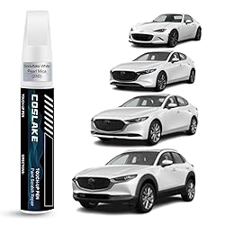 COSLAKE Car Touch Up Paint