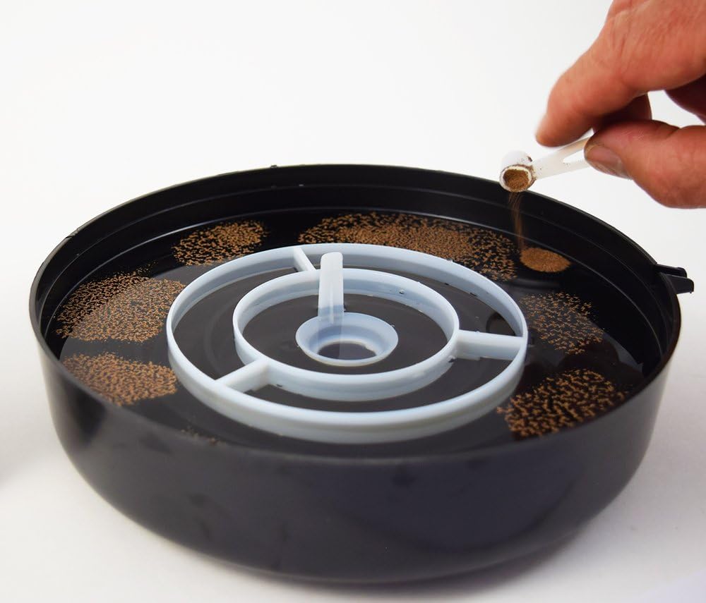 Amazon Com Brine Shrimp Hatchery Dish 3 Months Supply Of Brine Shrimp Eggs Pet Supplies