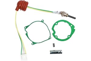 STDKDFW Glow Plug Repair Kit,12V 3KW-8KW Air Diesel Parking Heater Part Kit with Removal Fitting Tool +Glow Plug+ Ceramic Gaskets Strainers for Webasto Eberspacher D2 D4 D4S 75w-98w(12V 3KW-8KW)