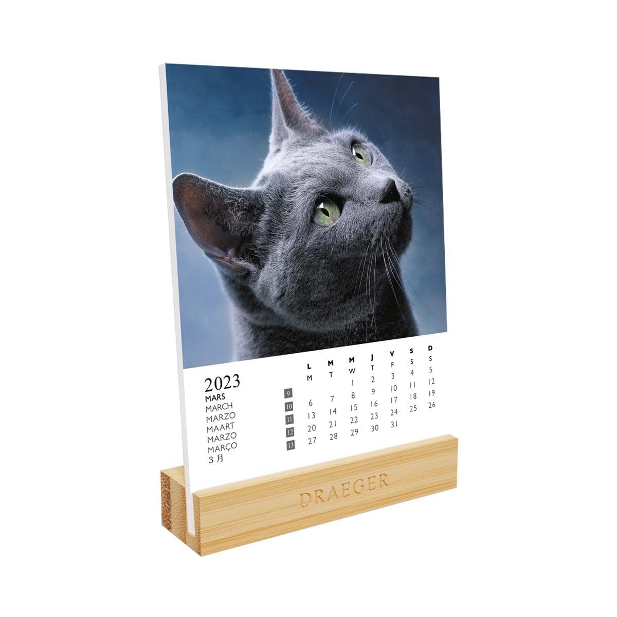 DRAEGER PARIS | Calendar on Base Cats 2023 | 12 x 16.5 cm | Year 2023 | 7 Languages | Monthly Desk Decoration Calendar | Bamboo Base | FSC® Certified Paper | Vegetable Inks