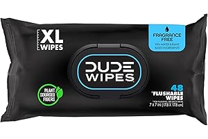 DUDE Wipes Flushable Wipes Dispenser, Pack of 1