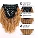 Sassina Double Wefts Clip In Human Hair Extensions Afro Curly Style Natural Looking Ombre Natural Black Fading to Strawberry Blonde 120 Grams 7 Pieces Per Bundle With 17 Clips AC TN27 14 Inch