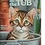 Tabby in the tub book report 04 picture