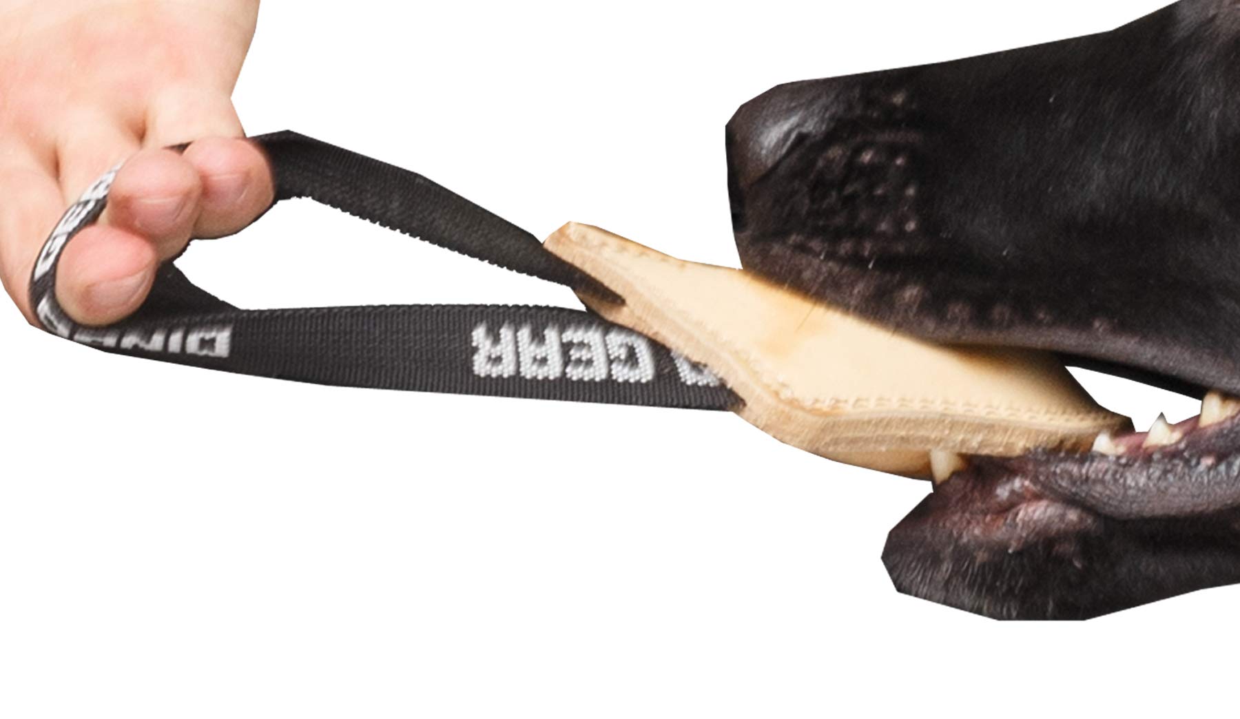 DINGO GEAR Dog Bite Tug Toy Hand Sewn Beige Grain Leather Strong Polypropylene Handle for Training K9 IGP Agility Play - 12 x 10 cm, Beige Coffee Latte (S00228)