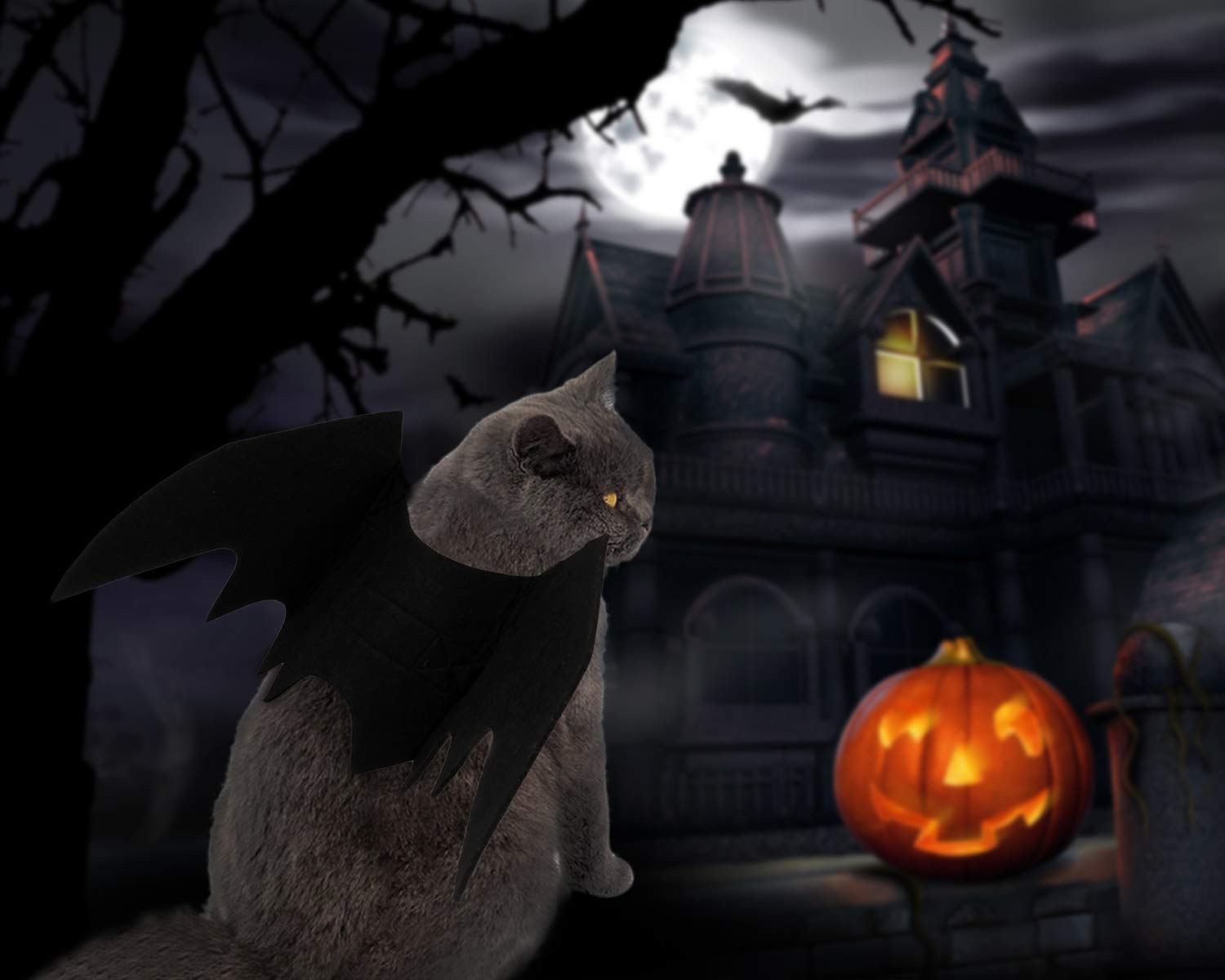 Fansport Halloween Pet Bat Wings Costume Cat Dog Bat Wings Costume with Pet Party Hat for Halloween