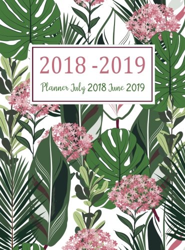 Planner July 2018 June 2019: Two Year - Daily Weekly Monthly Calendar Planner With Holiday | 12 Months July 2018 to June 2019 For Academic Agenda ... Organizer, Agenda and Calendar) (Volume 3) by Pauline B. Nunez