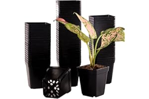 Tulpeed 150 Packs Square Nursery Pots for Plants 2.2 Inch Succulent Plant Pots Set Plastic Seedling Starting Pots with Drainage Holes Nursery Pots Variety Pack Flower pots Planter Seed Starter, Black