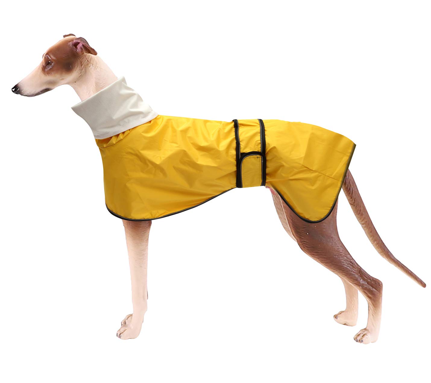 Greyhound Raincoat with Reflective Stripe, Waterproof, Adjustable Vest - Stylish Premium Dog Raincoats for Greyhounds, Lurchers and Whippets - Yellow - S