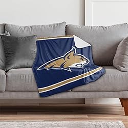 Montana State University Primary Logo Stripes
