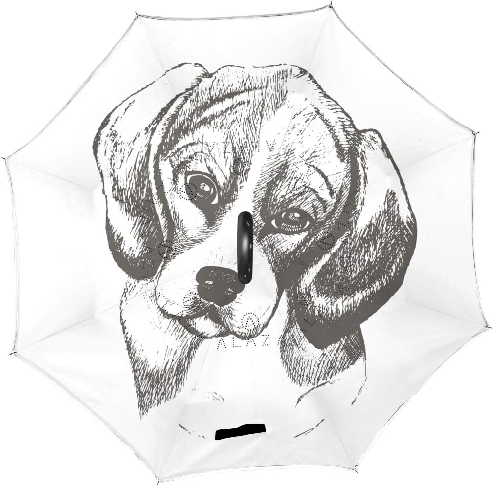 the upside dog painting