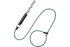 Raipult Slip Lead Dog Leash, 6FT Heavy Duty Slip Leads Training Leash for Dogs, Braided Rope Dog Leash with Padded Leather Handle,No Pull Slip Leash and Collar for Small Medium Large Dogs,Green