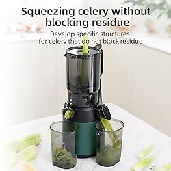 300W Slow Juicer - 13cm Feeding Chute, Portable