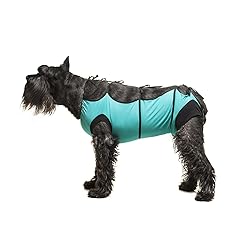 E-Collar Alternative for Cats and Dogs Designed to