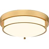 Cargifak Flush Mount Light Fixture, 12 inch 2-Light Modern Ceiling Light with Brass Gold Finish for Hallway Kitchen Laundry B