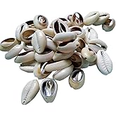 ccHuDE 100 Pcs Natural Cowrie Shells Beads Oval Beach Seashells African Shells for Hair Jewelry Making DIY Craft