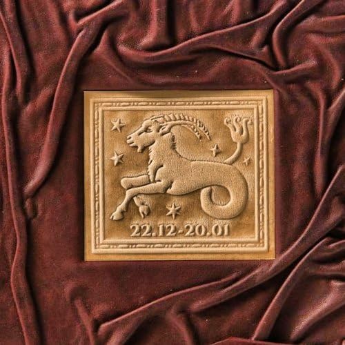A5 - STEINBOCK - Leder NOTIZBUCH/TAGEBUCH/BUCHUMSCHLAG - hochwertige Handarbeit Made in Europe - 240 Seiten - Braun - liniert