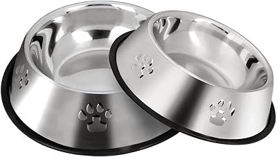 SUOXU Stainless Steel Small Dog Bowls Set of 2 with Non-Slip Rubber Base, 350 ml