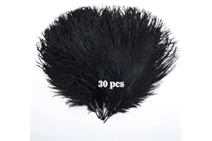 Hollosport 30PCS Bulk Black Ostrich Feathers 10-12 Inches for Centerpieces Party Wedding Home Decorations Dream Catchers Vases Crafts (Black)
