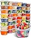 50pk 16oz Small Plastic Containers with Lids - Freezer & Deli Containers