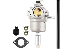 SALEM AUTO PARTS Carburetor Compatible with Briggs Stratton 591731 796109 594593 Carb