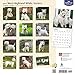 2017 Monthly Wall Calendar - West Highland White Terriers