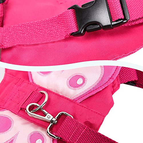 Alotpower Baby Safety Harness Walking Belt Child Harness with Leash Strap (Pink)