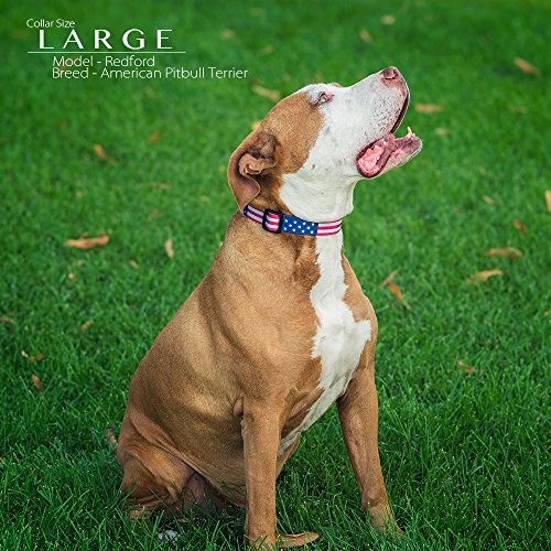 American Flag Dog Collar in 5 different sizes (Medium)