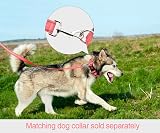 Taglory Dog Leads for Small Medium Dogs 2 cm Wide 180 cm Pink Reflective view 4