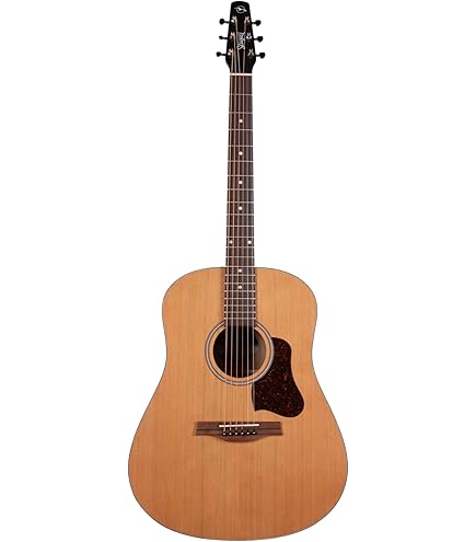 ギター seagull 20220809-