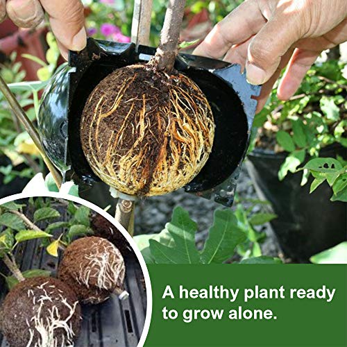 ECLOUR Plant Root Growing Box 6 Pack Reusable Air Layering Pods for