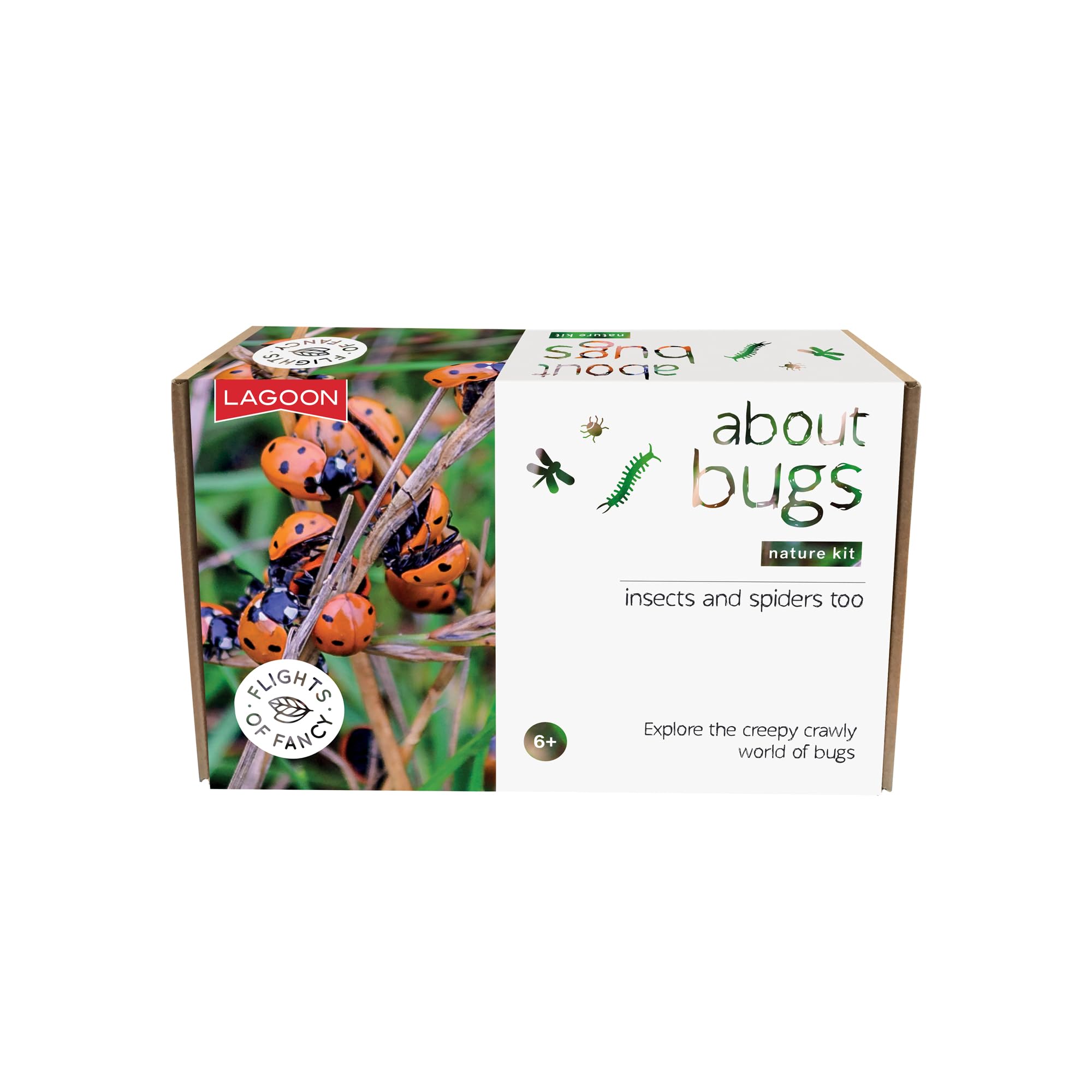 Flights of Fancy 85800 Bugs Nature Kit, Brown, White