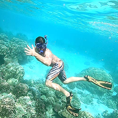 image for FinaTider Snorkel Mask - Impact Resistant Tempered Glass Diving Mask P