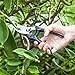 JEOutdoors Pruning Shears, Professional High Carbon Alloy Steel Sharp Blade Bypass Hand Pruner, Tree Trimmer, Garden Shearsthumb 4
