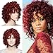 Short Curly Synthetic Hair Wigs Andromeda Afro Kinky Curly Heat Resistant Fiber Hair Wig for African American Black Women