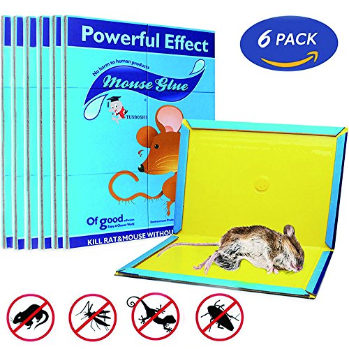 Mouse Glue Trap, Rat Glue Traps, Strongly Adhesive & Extra Large, Best Peanut Butter Scented Mouse Traps Glue Board for Mice & Rodent &Pests & Bug & Ant & Spider - 6 Pack