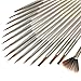 Detail Paint Brush (Set of 16) - Artistrove Miniature Art Brushes for Fine Detailing & Art Painting | Media: Acrylic, Watercolor, Oil | Perfect for Miniatures, Models, Figurines, Nail & More