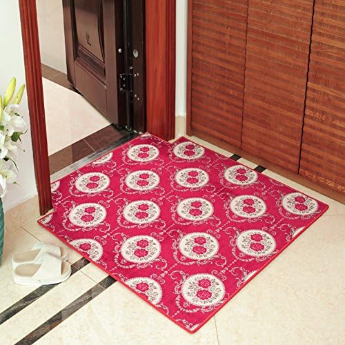 Household Xuan Guan Fang mat/ bedroom mats in the Hall/Door mats-E 140x200cm(55x79inch)