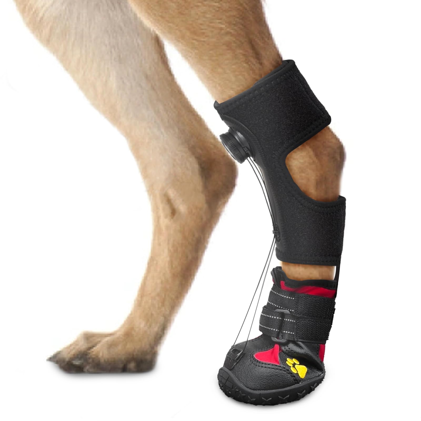 Photo 1 of Drop Foot Brace with Reel(No Knuckling Boot Brace) for Dog - Corrective Dog Shoes to Safely Lift Toes for Foot Issues, Arthritis, and improving Walking gait in Dogs(S)