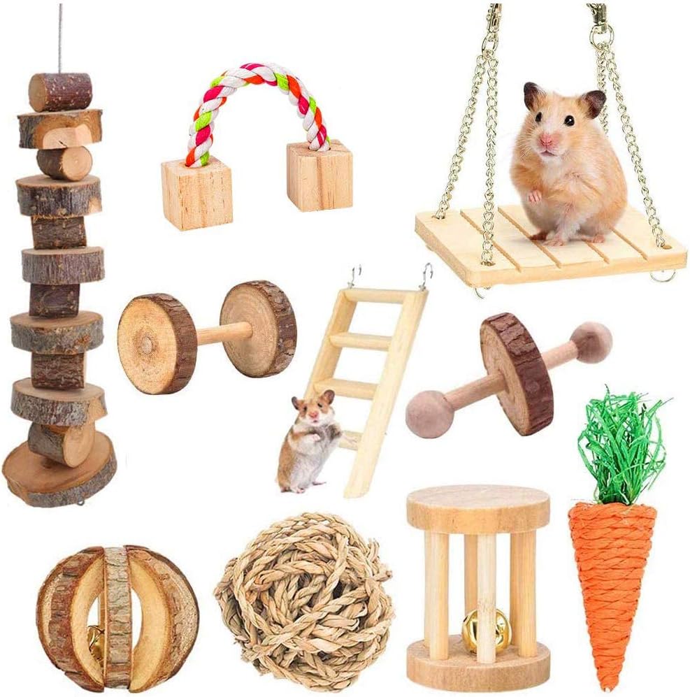 Hamster Chew Toys, Guinea Pig Toys 