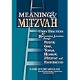 Meaning & Mitzvah: Daily Practices for Reclaiming Judaism through Prayer, God, Torah, Hebrew, Mitzvot and Peoplehood