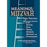 Meaning & Mitzvah: Daily Practices for Reclaiming Judaism through Prayer, God, Torah, Hebrew, Mitzvot and Peoplehood