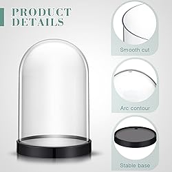 Zhengmy 12 Pcs Plastic Dome Display Case Cloche